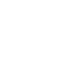 Commercial storefront improvement services icon